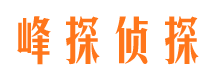 高安婚外情调查